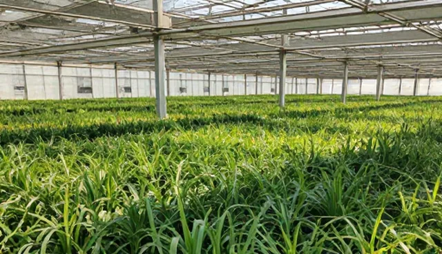 规范经营常见误区澄清与业务发展趋势分析