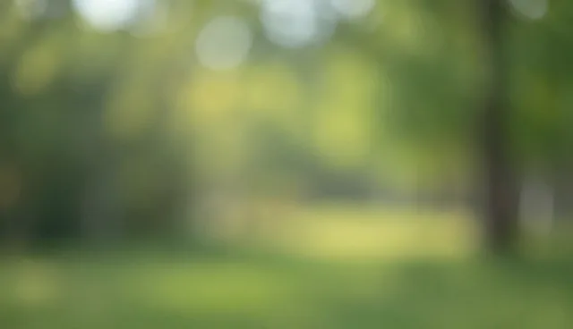 服务标准与规范经营：选型关注点的对比分析
